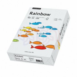 Papier xero A4 160 j.szary 250aR93 RAINBOW 88042791/84 (X)