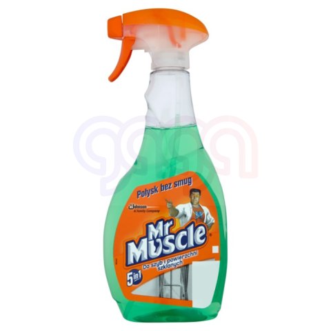 MR.MUSCLE płyn do szyb 500ml z rozpylaczem zielony *139266