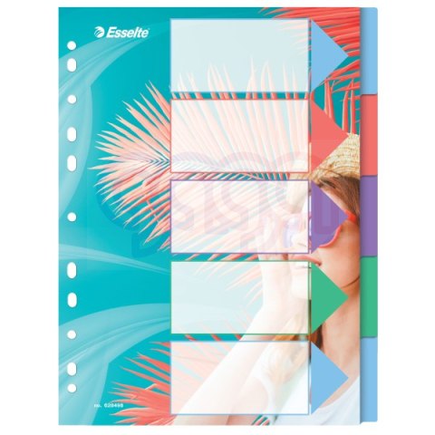 Przekładki ColourBreeze PP A4, 5 przekładek Esselte 628498