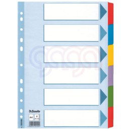 Przekładki, kolorowy karton, karta opisowa Mylar A4, Esselte, 6 kart, , 100168 (X)